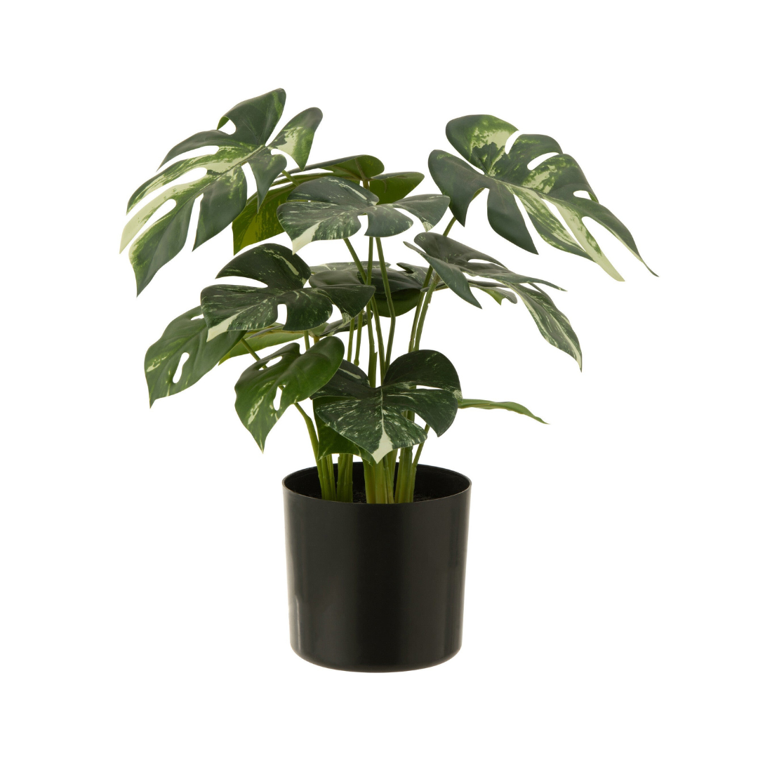 Monstera artificiale - H 43 cm