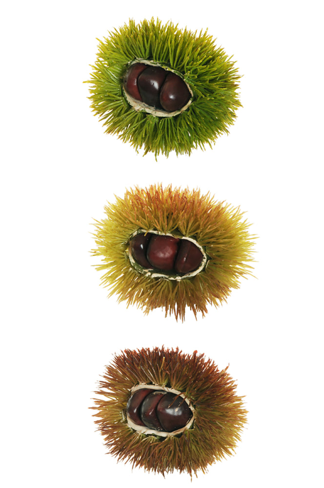 Set 3 Ricci con Castagne Artificiali