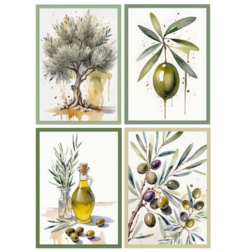 Set 4 Canovacci OLIO